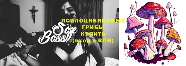 молекула духа Белоозёрский