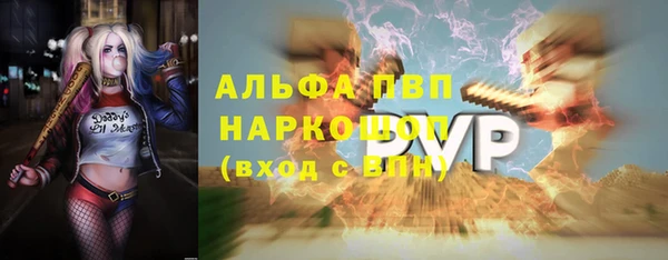 стаф Богданович