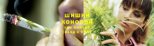молекула духа Белоозёрский