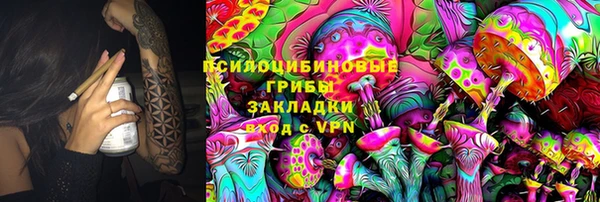 амфетамин Белокуриха