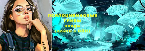 твердый Богородицк