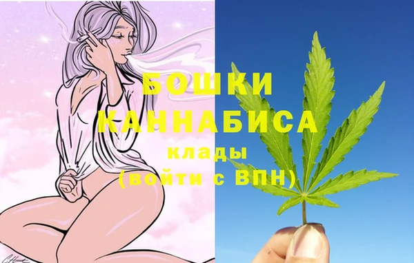 молекула духа Белоозёрский
