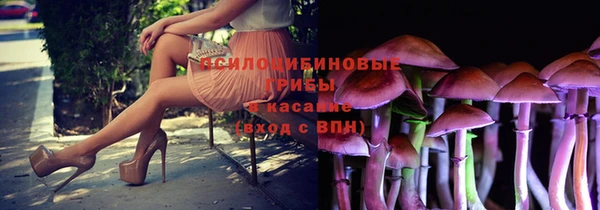 каннабис Беломорск